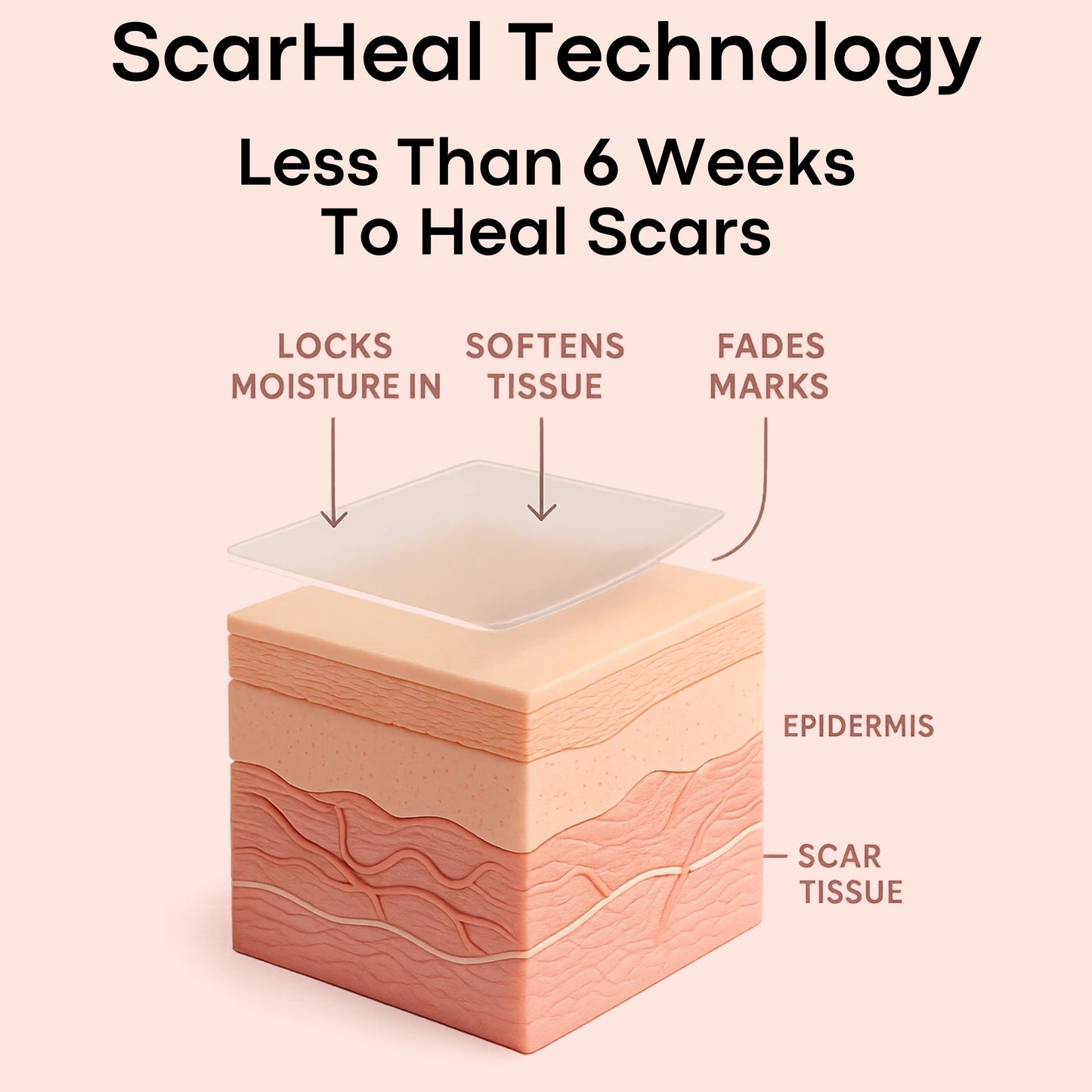 The ScarHeal Roll